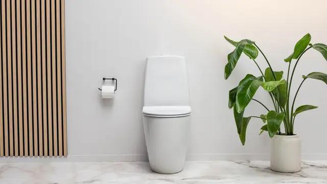 WC-istuimet