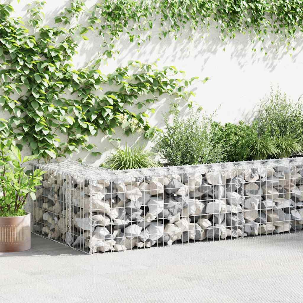 Gabion-kivikori kansilla, galvanoitu teräs, 600x30x50cm