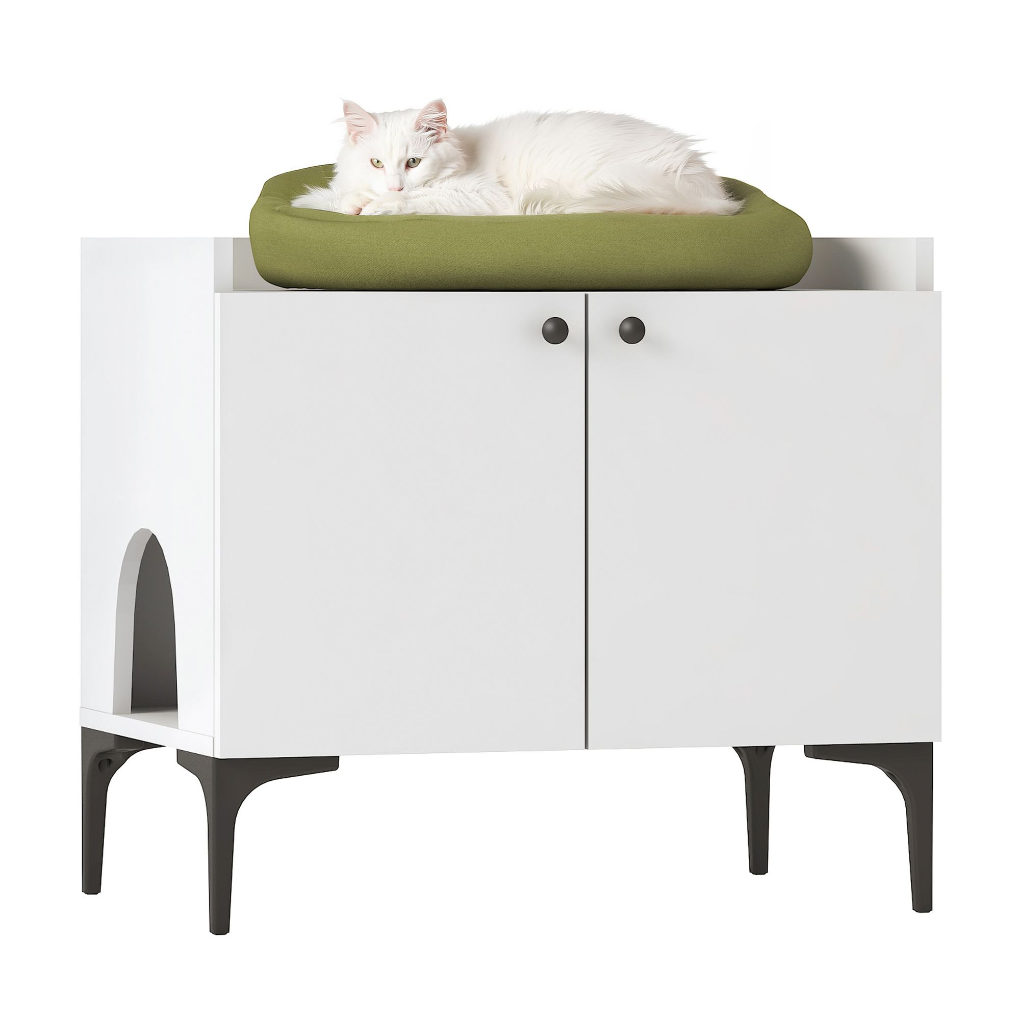 Kissan WC-kaappi säilytystilalla Valento Furniture PA101 - 4724, 70x61.8x45 cm, valkoinen