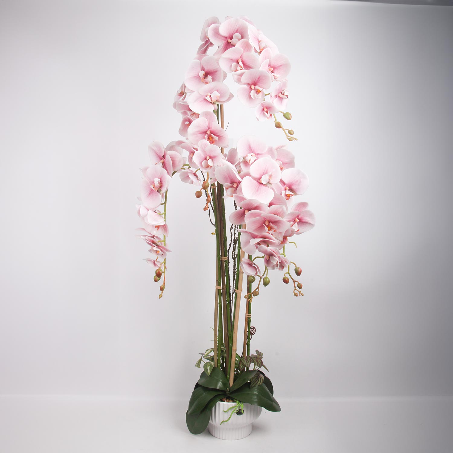 Orkidea Home4You Garden Queen, 124Cm, 45Kukkaa, Vaaleanpunainen