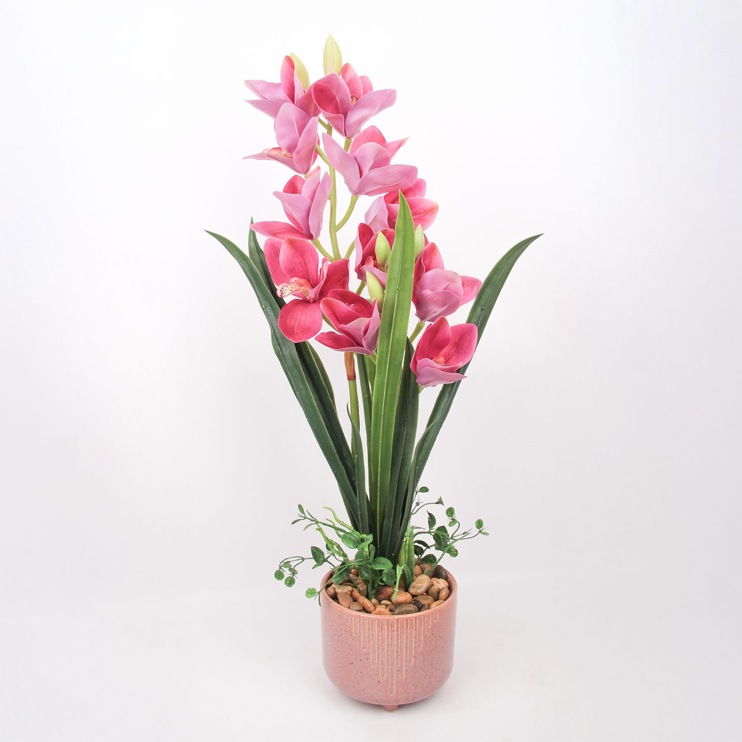 Orkidea Home4You Garden Queen, 70 Cm, Tummanpunainen