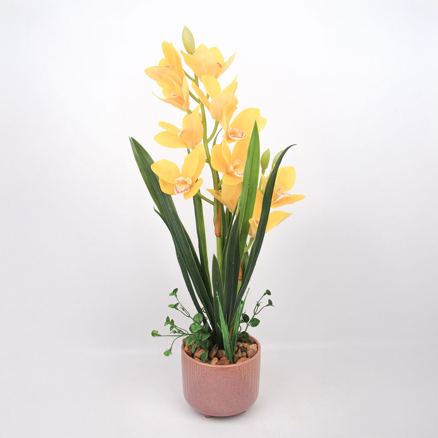 Orkidea Home4You Garden Queen, 70Cm, Keltainen