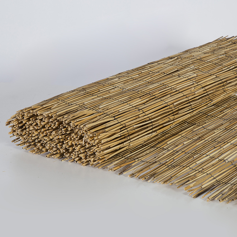 Ruokoaita AitaX, korkeus 100cm, halkaisija 2-4mm, 6m