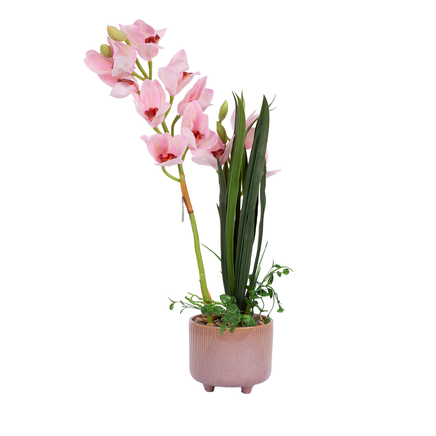 Teko-orkidea Home4You Garden Queen, 70cm, vaalea pinkki