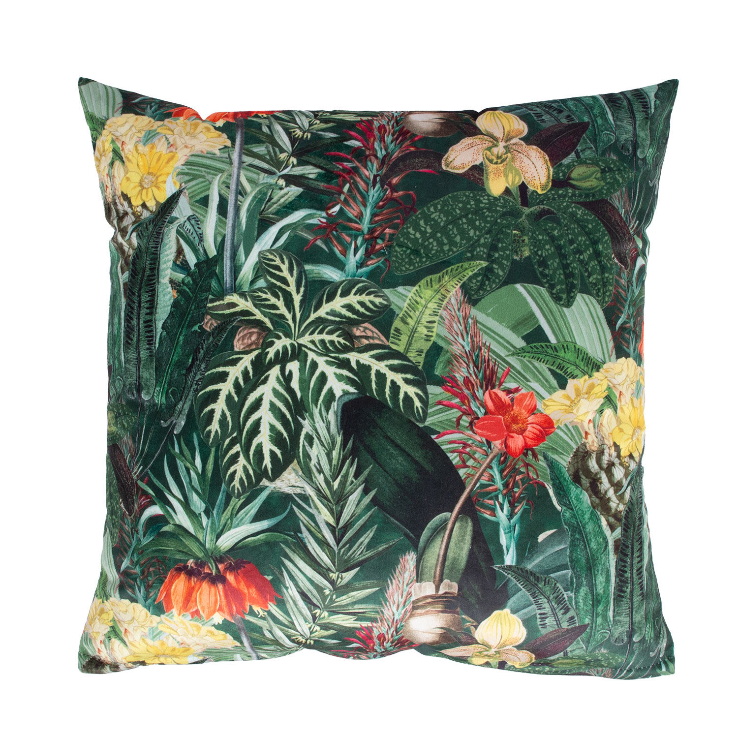 Tyyny Home4You Holly 45x45cm, Trooppiset Kasvit, Monivärinen